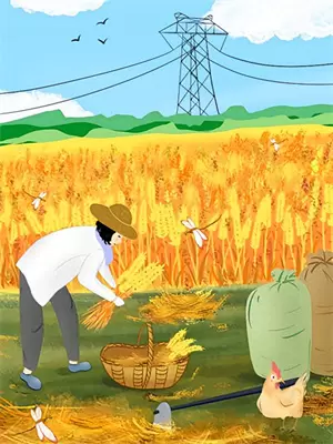喜眠床垫直播间